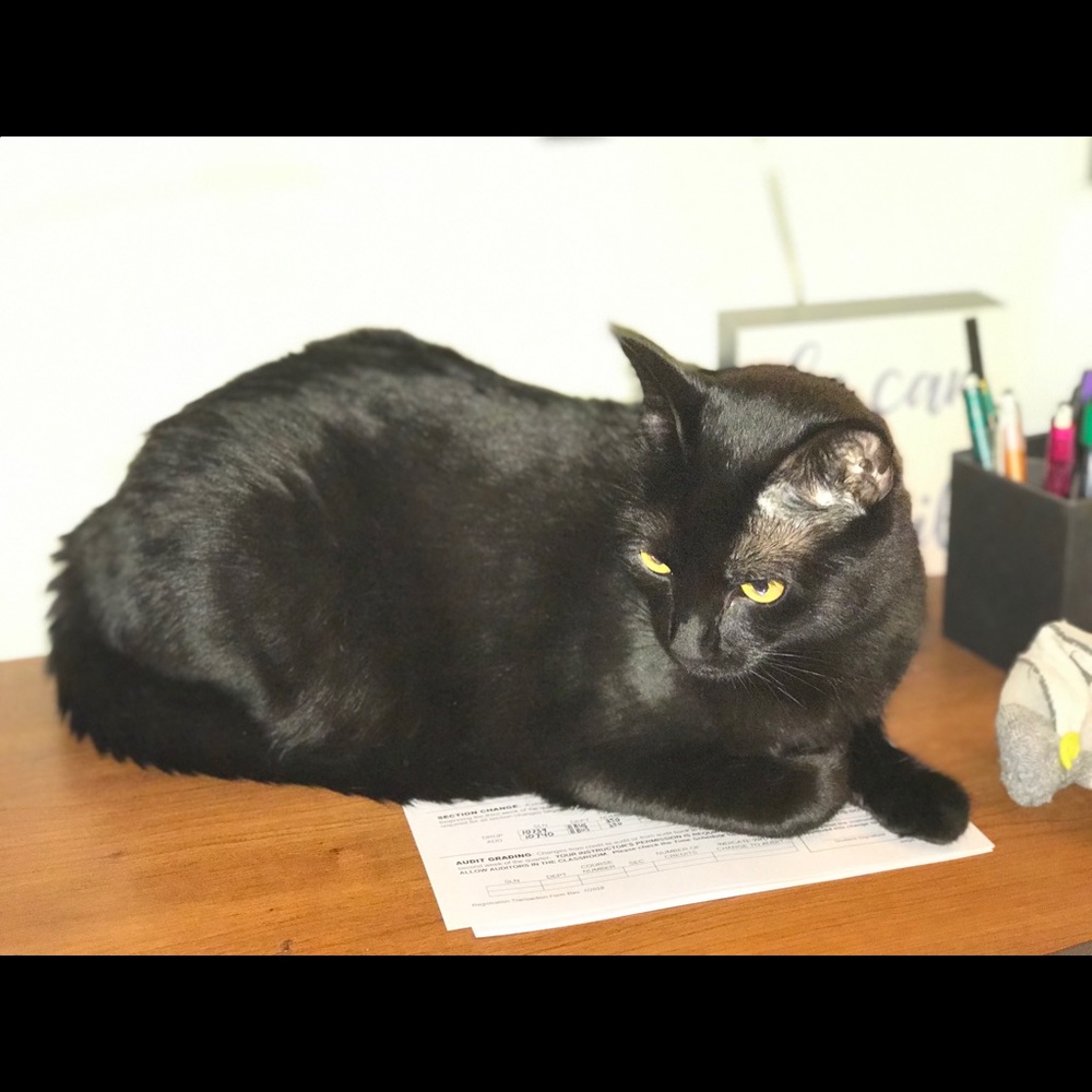 Hello 🥰 - Picture 7 of 8